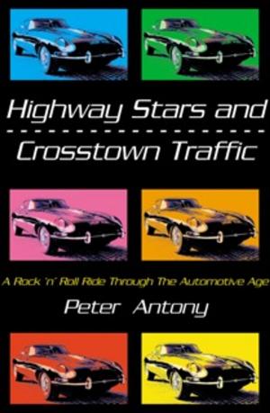 Cover of the book Highway Stars by Miss Boobier