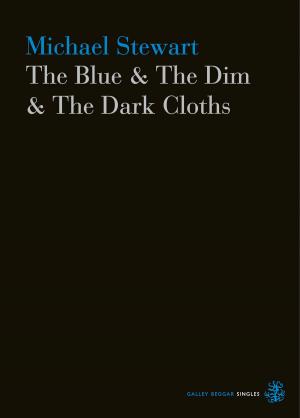 Cover of the book The Blue & The Dim & The Dark Cloths by James Clammer