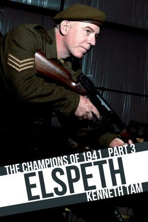 Cover of the book Elspeth by James Somers