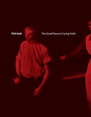 Cover of the book The Small Nouns Crying Faith by Josh Massey
