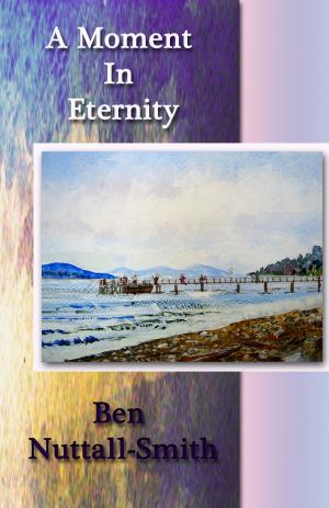 Cover of the book A Moment In Eternity by Donna Ross-Thengs