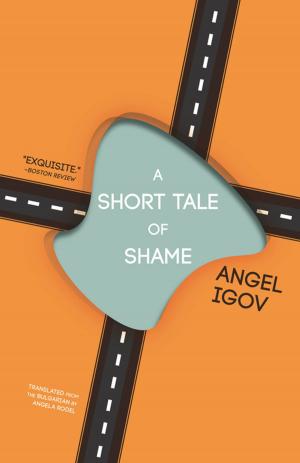 Cover of the book A Short Tale of Shame by Jerzy Pilch