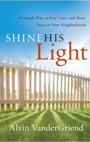 Cover of the book Shine His Light by Lonnie Pacelli