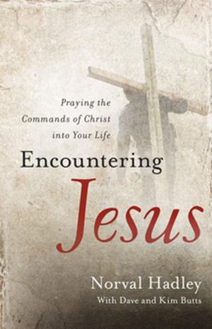 Cover of the book Encountering Jesus by Zig Ziglar