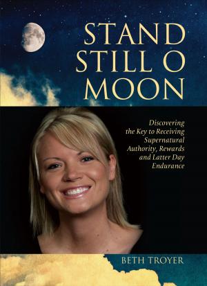 Book cover of Stand Still O Moon