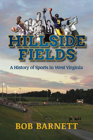 bigCover of the book Hillside Fields by 