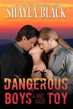 Book cover of Dangerous Boys and their Toy
