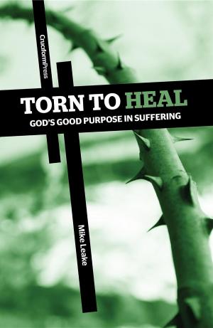 Cover of the book Torn to Heal by Thor Ramsey