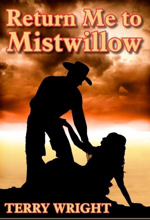 Cover of the book Return Me to Mistwillow by Terry Wright