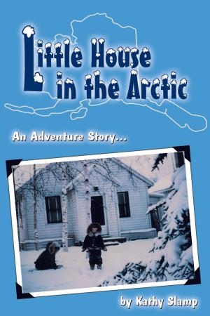 Cover of the book Little House in the Arctic by Jon Carnes