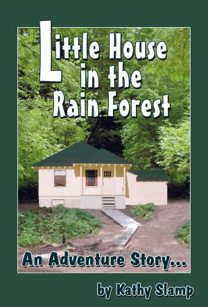 Cover of the book Little House in the Rain Forest by Debra Talley