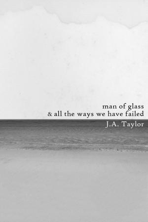 Cover of the book A Man of Glass & All the Ways We Have Failed by John Domini