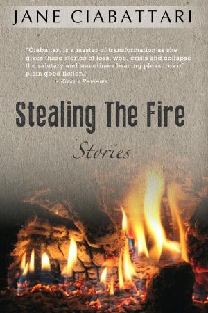 Cover of the book Stealing the Fire by John Domini