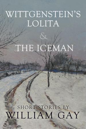 Cover of the book Wittgenstein's Lolita and the Iceman by Jen Michalski