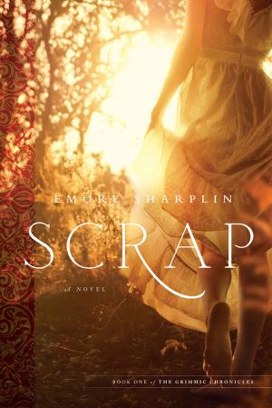 Cover of the book Scrap by Rachel Manija Brown, Sherwood Smith