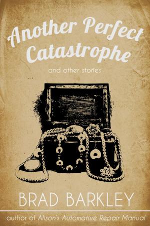 Cover of the book Another Perfect Catastrophe by Michael Martone