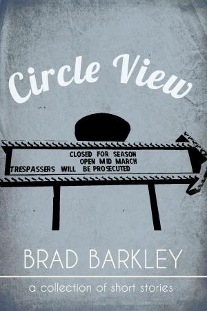 Cover of the book Circle View by Steve Stern