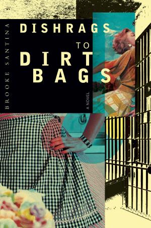 Cover of the book Dishrags to Dirtbags by Jacci Turner