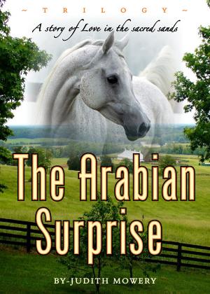 Book cover of The Arabian Surprise