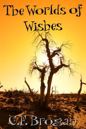 Cover of the book The Worlds of Wishes by Jane Feral