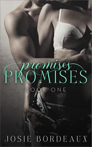 Cover of the book Promises, Promises by Brenda Gartin