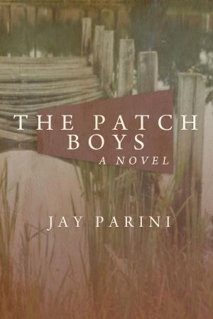 Cover of the book The Patch Boys by Charles Johnson