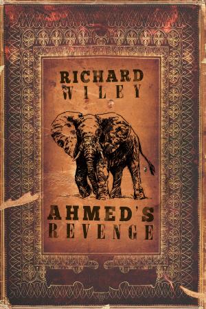 Cover of the book Ahmed's Revenge by Lance Olsen