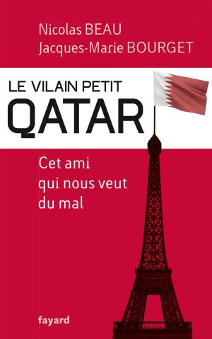 Cover of the book Le Vilain Petit Qatar by Alain Badiou