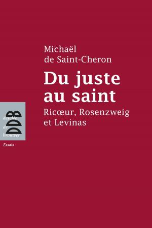 Cover of the book Du juste au saint by Michel Fromaget