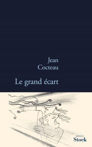 Cover of the book Le grand écart by Ivan Tourgueniev
