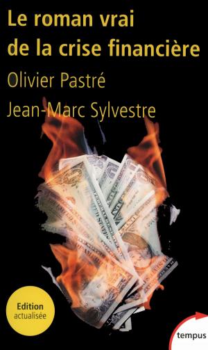 Cover of the book Le roman vrai de la crise financière by Hugo BORIS