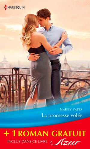 Cover of the book La promesse volée - Bouleversant face-à-face by Karen Rose Smith