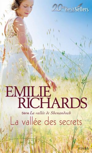 Cover of the book La vallée des secrets by Jessica Gilmore