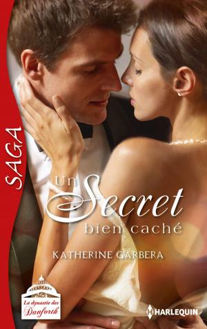 Cover of the book Un secret bien caché by Julie Miller