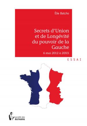 Cover of the book Secrets d'Union et de Longévité du pouvoir de Gauche - 6 mai 2012 à 20XX by Andrea Novick