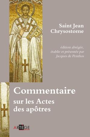 Cover of the book Commentaire sur les Actes des apôtres by Charles Wright, Père André Louf