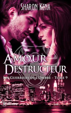 Book cover of Amour Destructeur