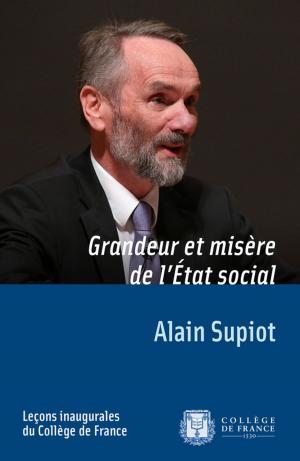 Cover of the book Grandeur et misère de l'État social by Anne Cheng