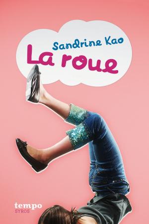 Cover of the book La roue by Lorris Murail, Elisabeth Brami