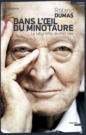 Cover of the book Dans l'oeil du Minotaure by Pierre DRACHLINE