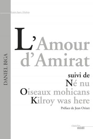 Cover of the book L'Amour d'Amirat by Daniel PREVOST