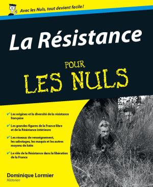 Cover of the book La Résistance Pour les Nuls by Nadia COSTE
