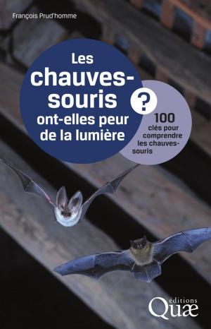 Cover of Les chauves-souris ont-elles peur de la lumière ?