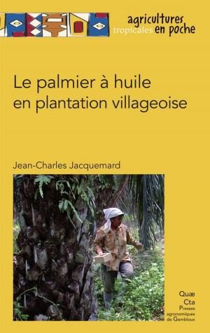 Cover of the book Le palmier à huile en plantation villageoise by Daou Véronique Joiris, Patrice Bigombé Logo