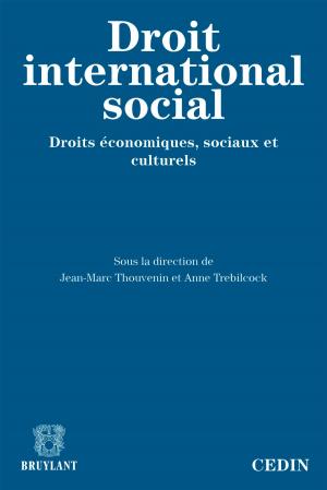 Cover of the book Le droit international social by Bruylant