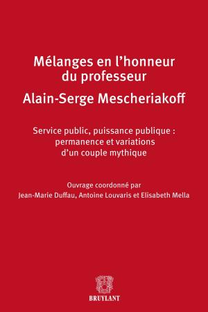 Cover of the book Mélanges en l'honneur de Monsieur le professeur Alain-Serge Mescheriakoff by Rafael Amaro, Martine Behar-Touchais, Guy Canivet