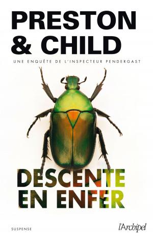 Cover of the book Descente en enfer by Jérôme Leroy