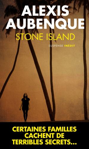 Book cover of Stone Island