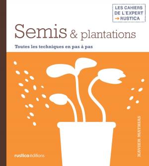 Cover of the book Semis & plantations by Laurent Bourgeois