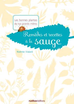 Cover of the book Remèdes et recettes à la sauge by Armelle Cottenceau